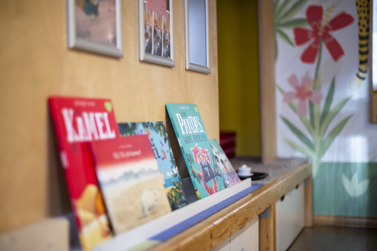 Bücher im Regal